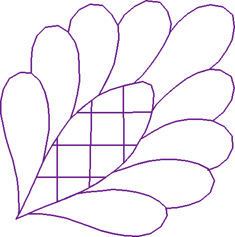 Quilting 25   New Traditions (22)