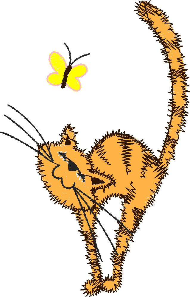 Quirky Animals