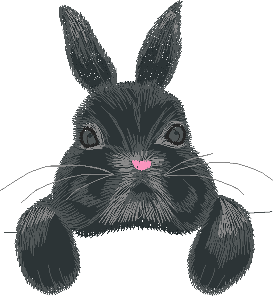 Rabbits 3  (18)
