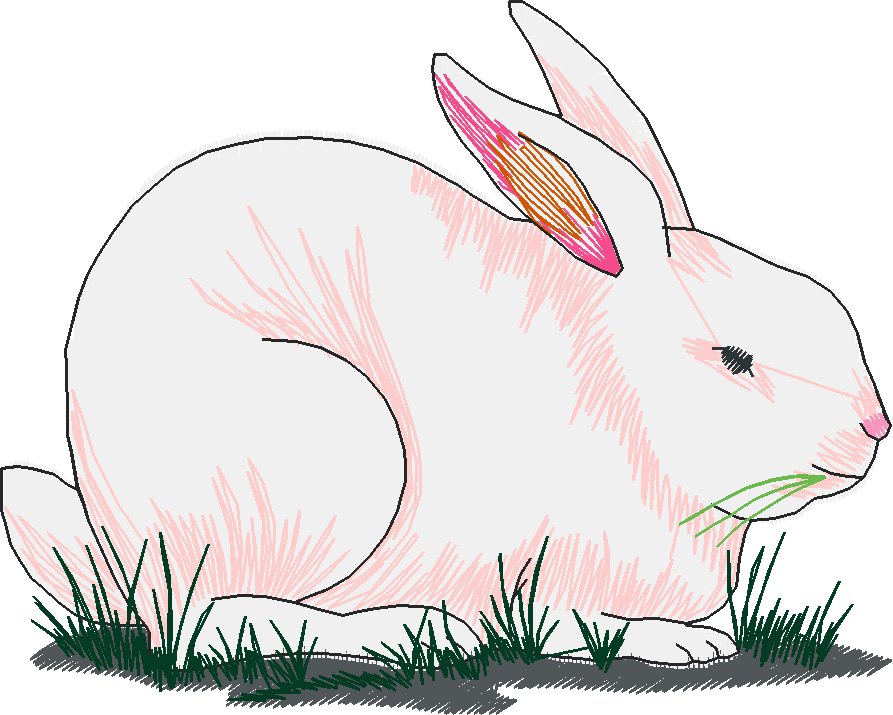 Rabbits 3  (20)