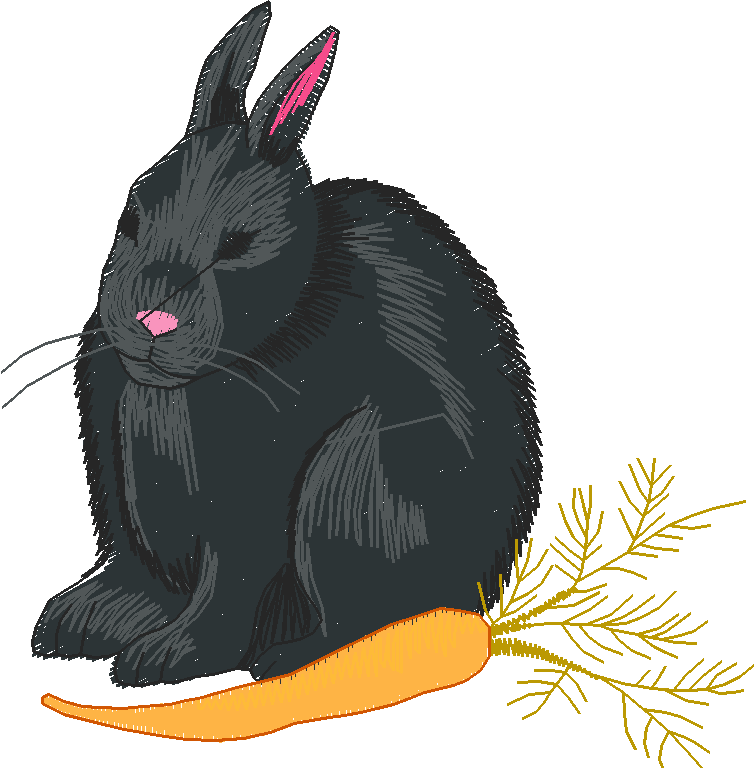 Rabbits 3  (21)