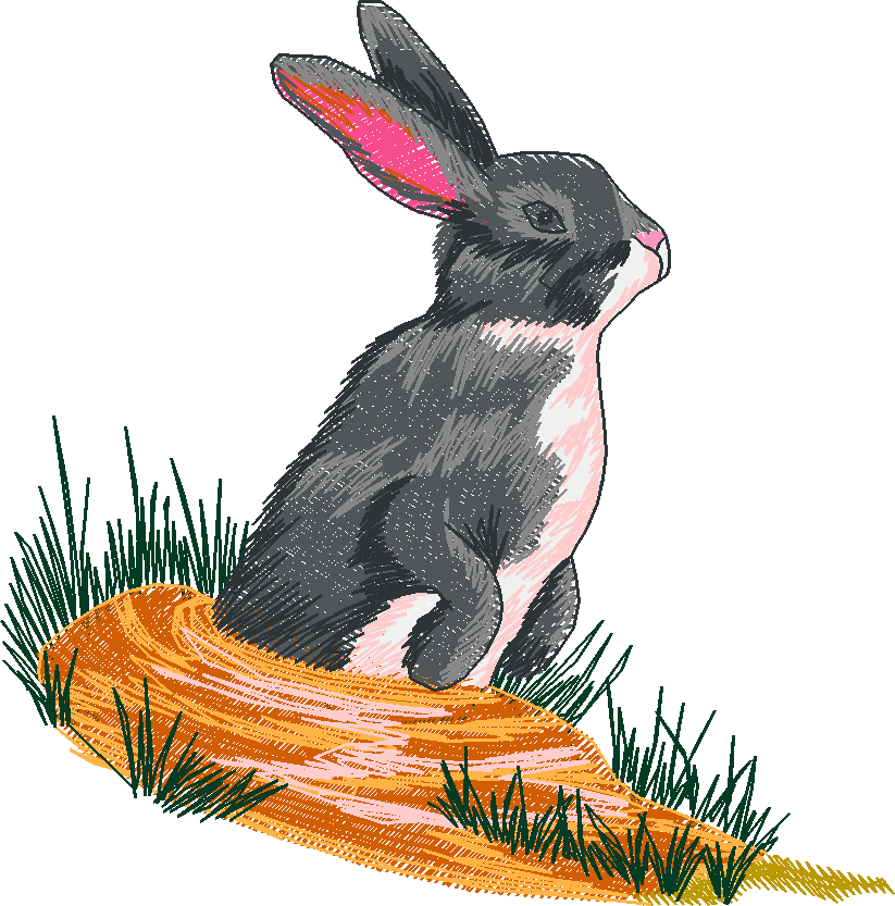 Rabbits 3  (7)