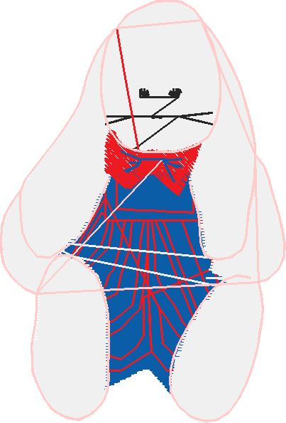 Rabbits 4  (34)
