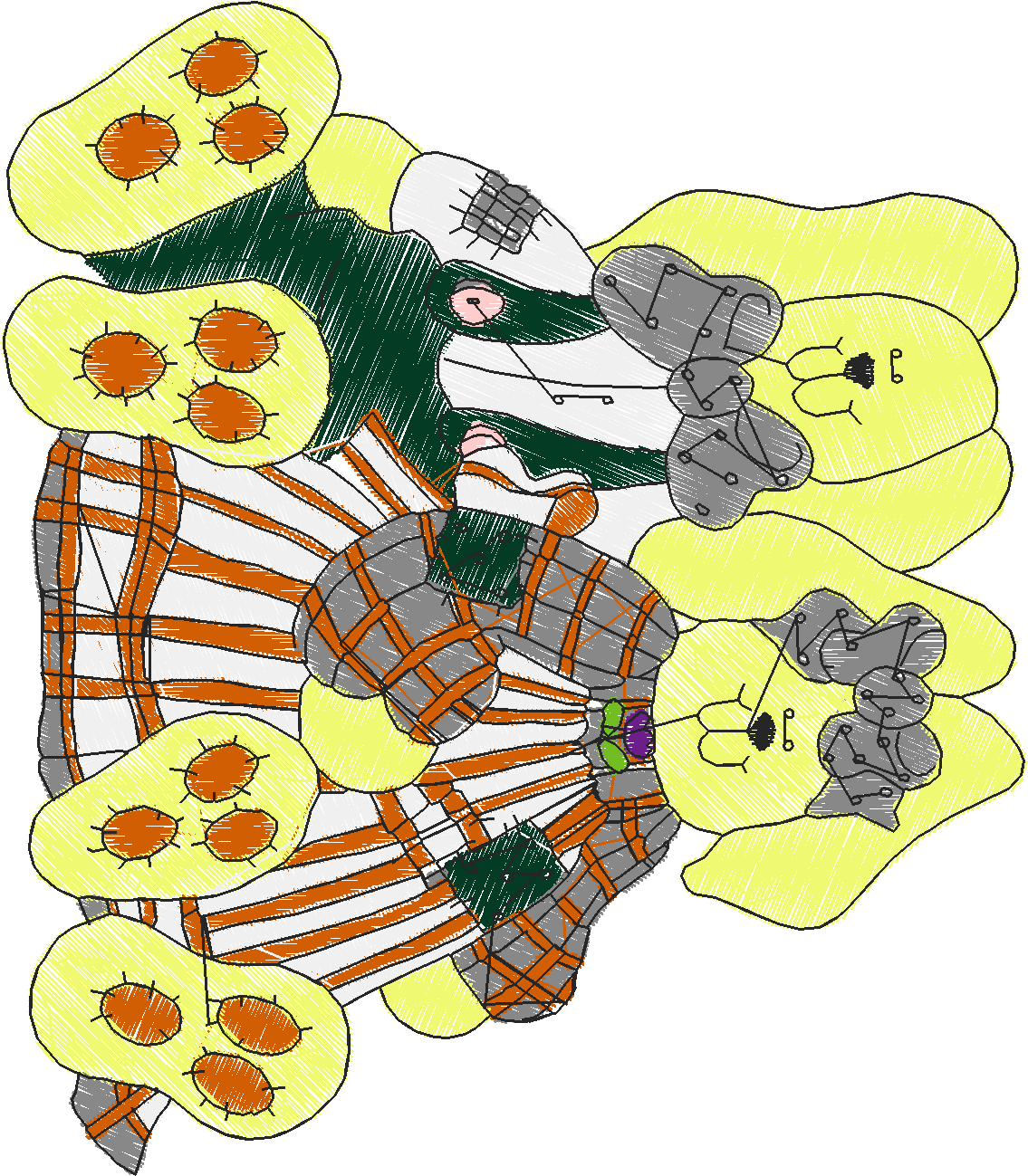 Rabbits 4  (4)