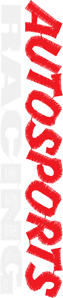 Race Banner 1  (8)