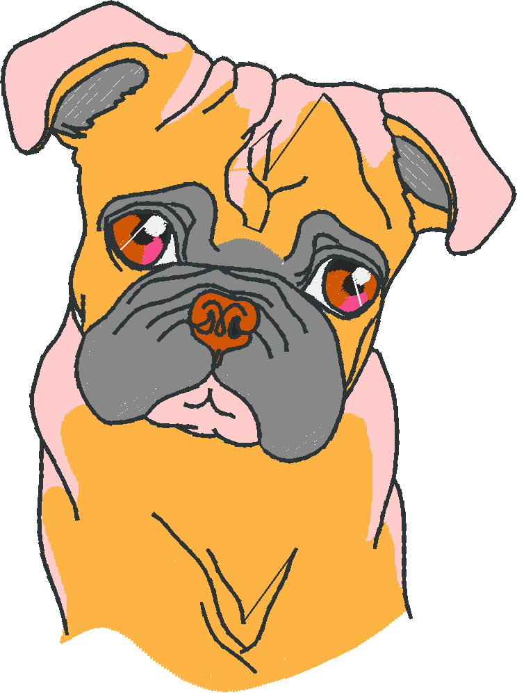 Realistic Dog Heads 1  (7)