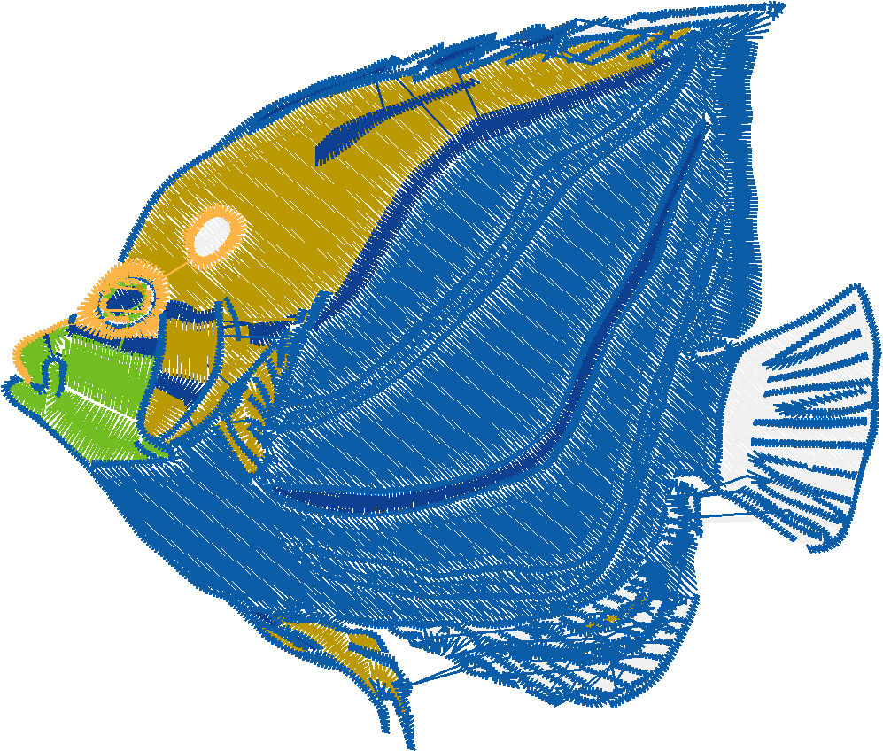 Realistic Fish  (5)