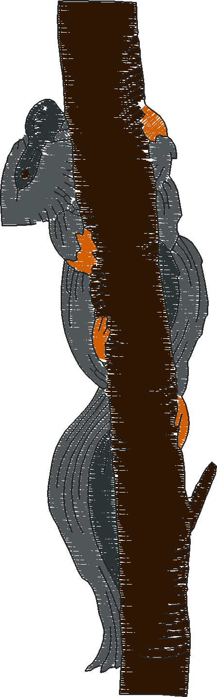 Realistic Squirrels